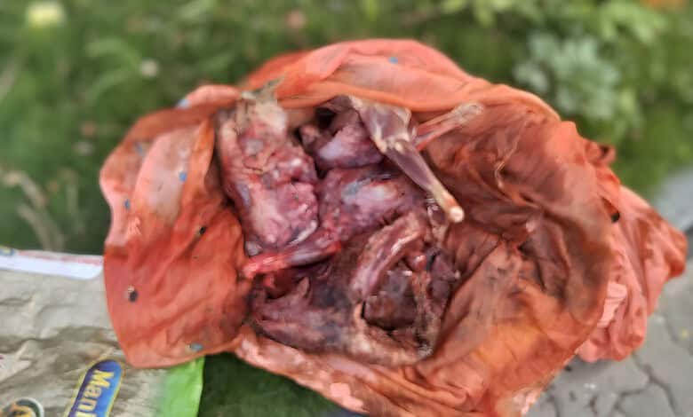 Deer meat wrapped in orange cloth on a green background near Hyderabad.