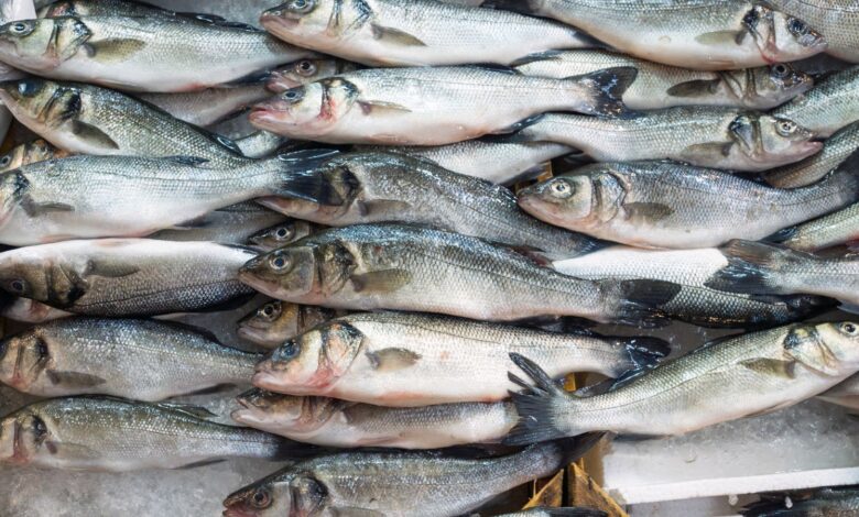 Fresh fish displayed at a market in Hyderabad, highlighting concerns over fish fed with chicken waste.