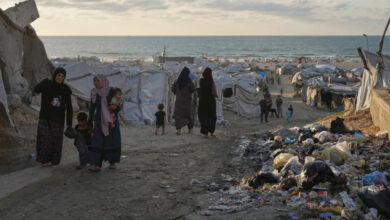 Palestinians death toll