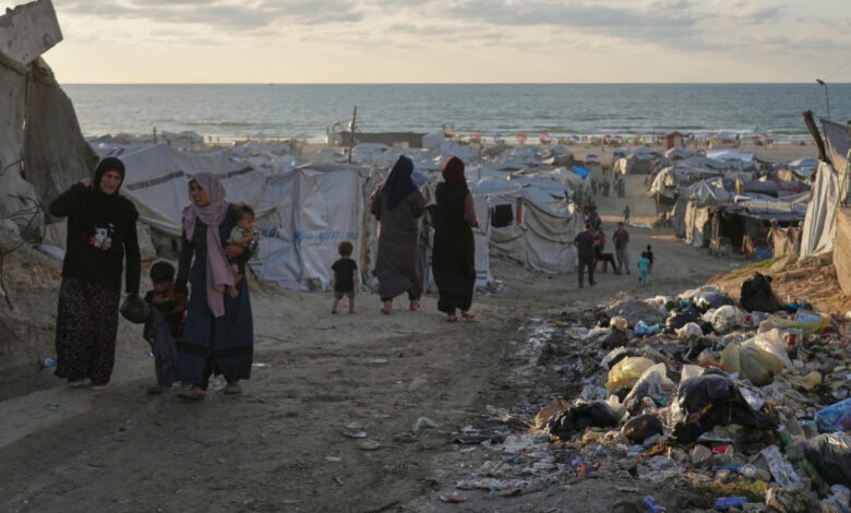 Palestinians death toll