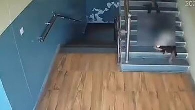 Student falls on staircase in school