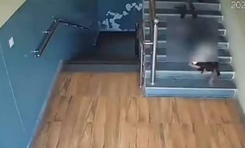 Student falls on staircase in school