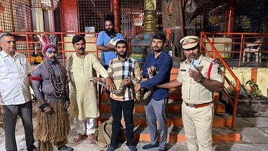Indian Rock Python rescued by Madhuranagar Police
