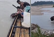 Fishermen rescue a baby elephant from the Teesta river in a daring effort.