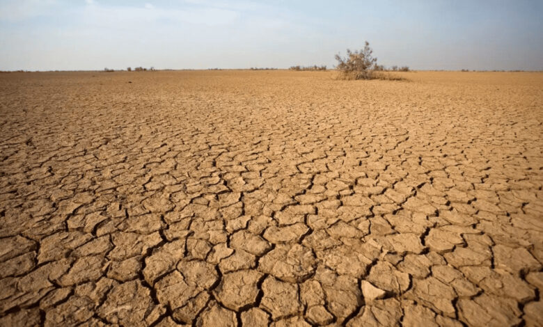 Rain deficit worsens in Karnataka, 26 more taluks face drought