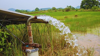 Water being pumped from a field in Hyderabad for groundwater recharge.