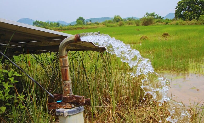 Water being pumped from a field in Hyderabad for groundwater recharge.