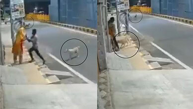 Dog intervenes as a woman is attacked by a man on a street in Coimbatore.