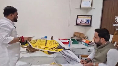 Protesters release stray dogs on official's table in Nashik to highlight canine menace.