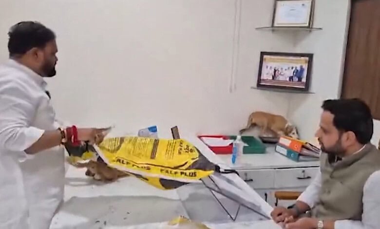 Protesters release stray dogs on official's table in Nashik to highlight canine menace.