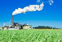 A sugar mill with a smoking chimney stands beyond a lush green sugarcane field under a clear blue sky.