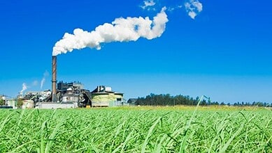 A sugar mill with a smoking chimney stands beyond a lush green sugarcane field under a clear blue sky.