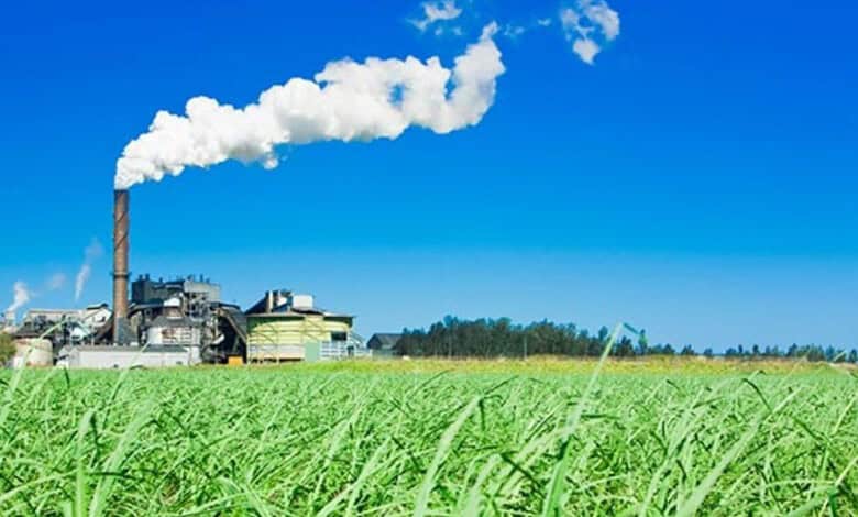A sugar mill with a smoking chimney stands beyond a lush green sugarcane field under a clear blue sky.