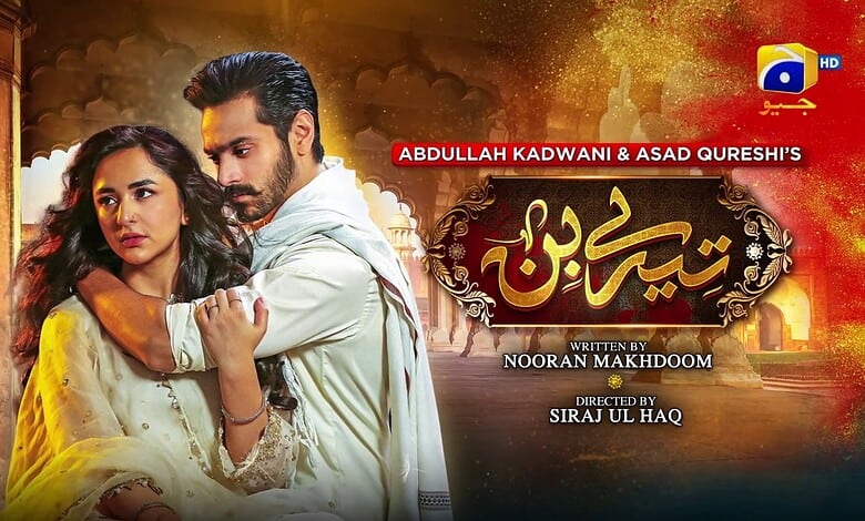 Promotional poster for Pakistani drama Tere Bin 2 featuring Abdullah Kadwani and Asad Qureshi.