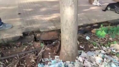 Torn currency notes found outside Central Park in Visakhapatnam