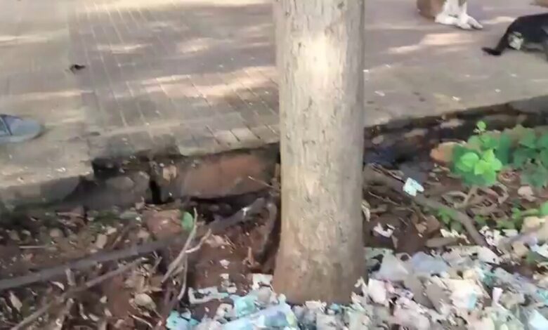 Torn currency notes found outside Central Park in Visakhapatnam