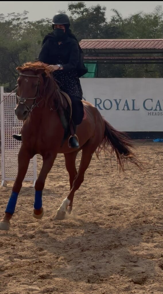 Equestrian rider in black riding gear on a brown horse during training at Royal Cal.