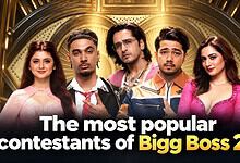 Top 5 Bigg Boss 20 contestants posing in a grand setting for the show.