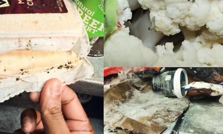 Cockroaches, fungus found at Hyderabad dark stores; 4 shut
