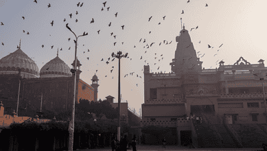 Birds flying over a historic Hindu temple and mosque in India at dusk.
