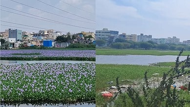 Vibrant purple lake with cityscape in Hyderabad, India, under a clear sky.