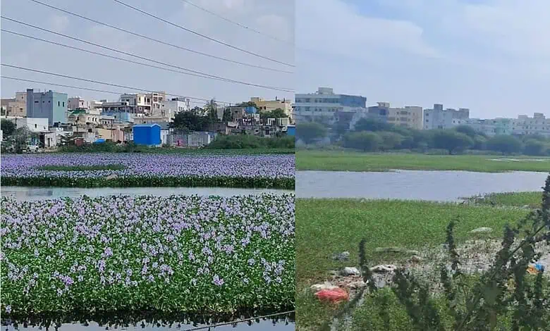 Vibrant purple lake with cityscape in Hyderabad, India, under a clear sky.