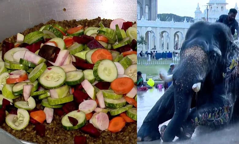Fresh vegetable salad with cucumbers, carrots, and onions for elephants' diet in Mysuru.