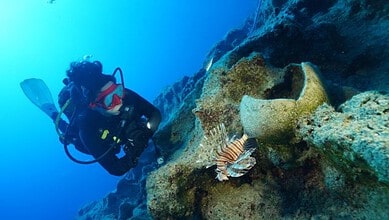 Diver exploring an ancient shipwreck off the coast of Turkey with a lionfish nearby.