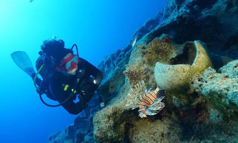 Diver exploring an ancient shipwreck off the coast of Turkey with a lionfish nearby.
