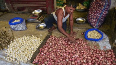 Man sorting onions at a market stall with various onion types displayed.
