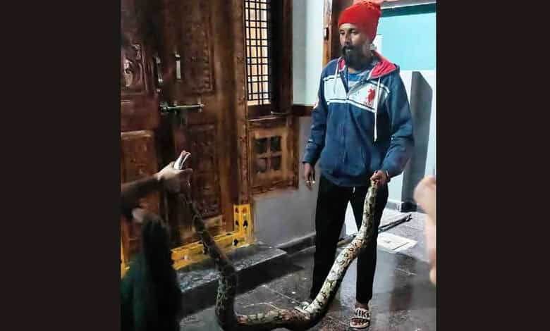 Man holding a large snake inside a traditional wooden room in Telangana.