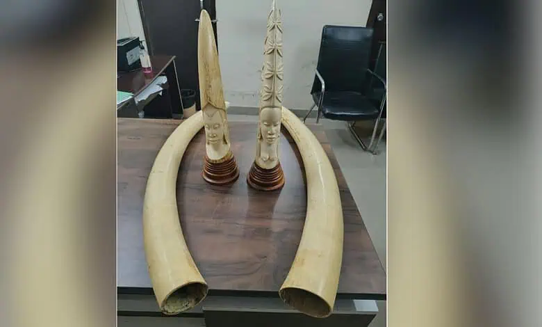 Traditional tribal musical instruments displayed on a table in an indoor setting.