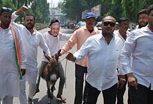 donkey protest