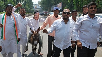 donkey protest