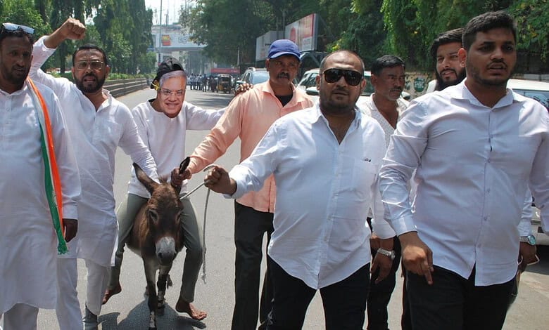 donkey protest