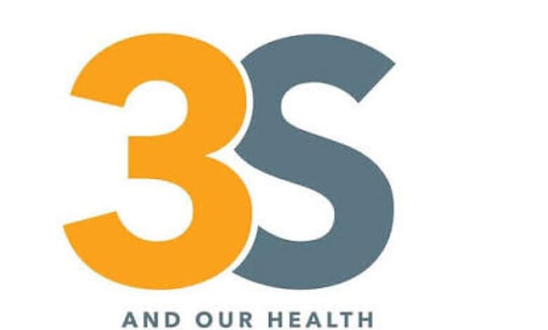 3S logo with orange and grey colours representing health and safety.