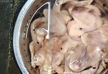 insect infested food seized from a restaurant