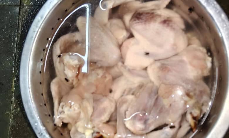 insect infested food seized from a restaurant