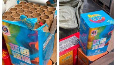 Hyderabad DRI seizes Chinese fireworks worth Rs 12 crore