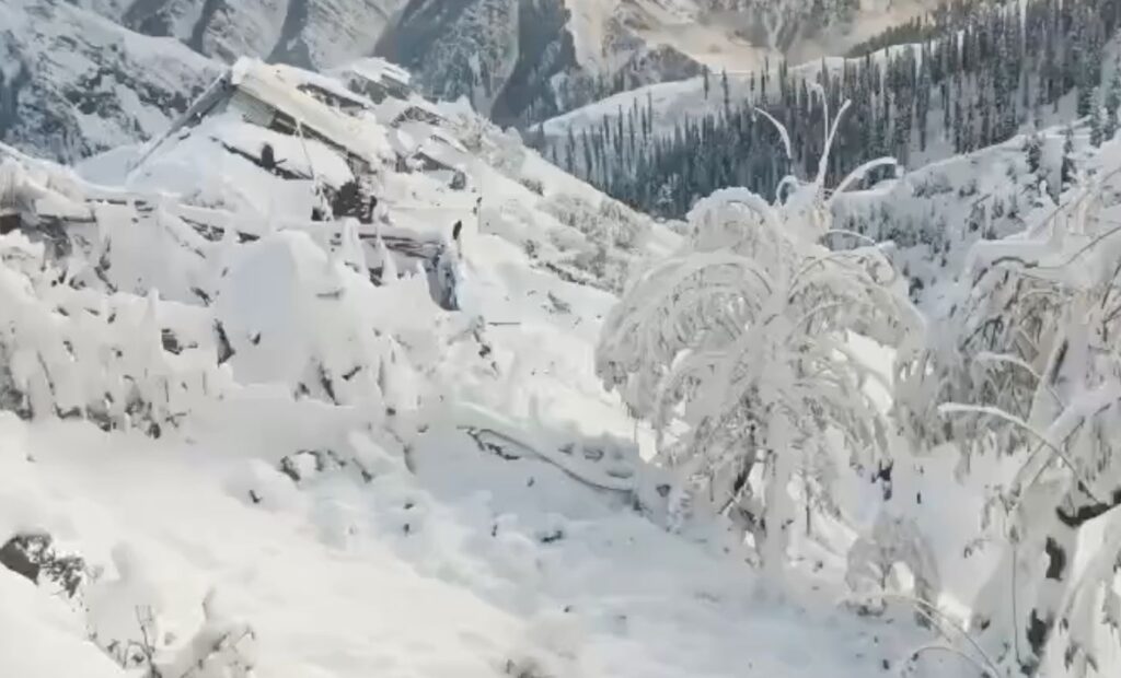 Snow-covered mountain landscape with fallen trees after overnight snowfall in Kashmir.