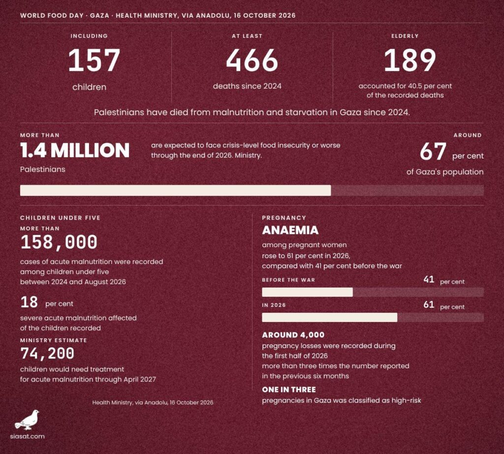 Infographic showing Gaza starvation deaths, child malnutrition and pregnancy-related health statistics.