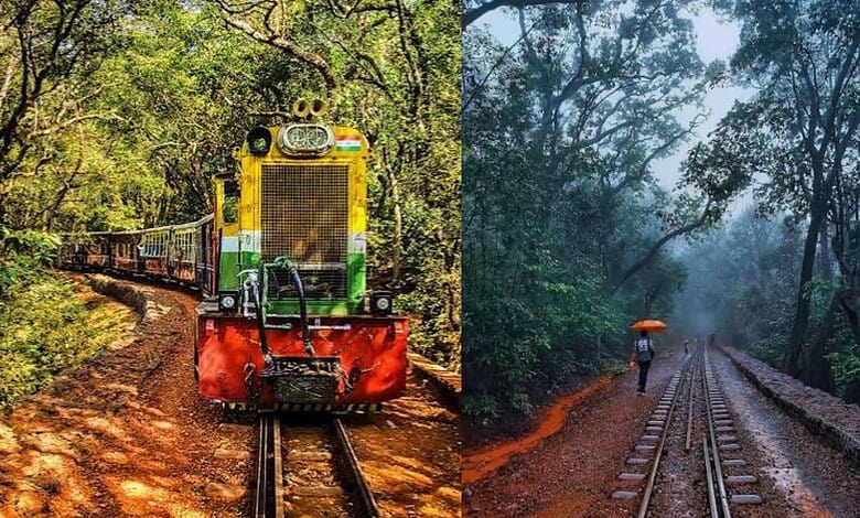 A train traveling through a lush green forest with trees on both sides.